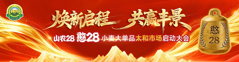 久邦传媒精锐出征安徽太和