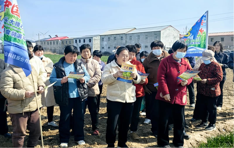 农技下乡赋能小麦单产提升